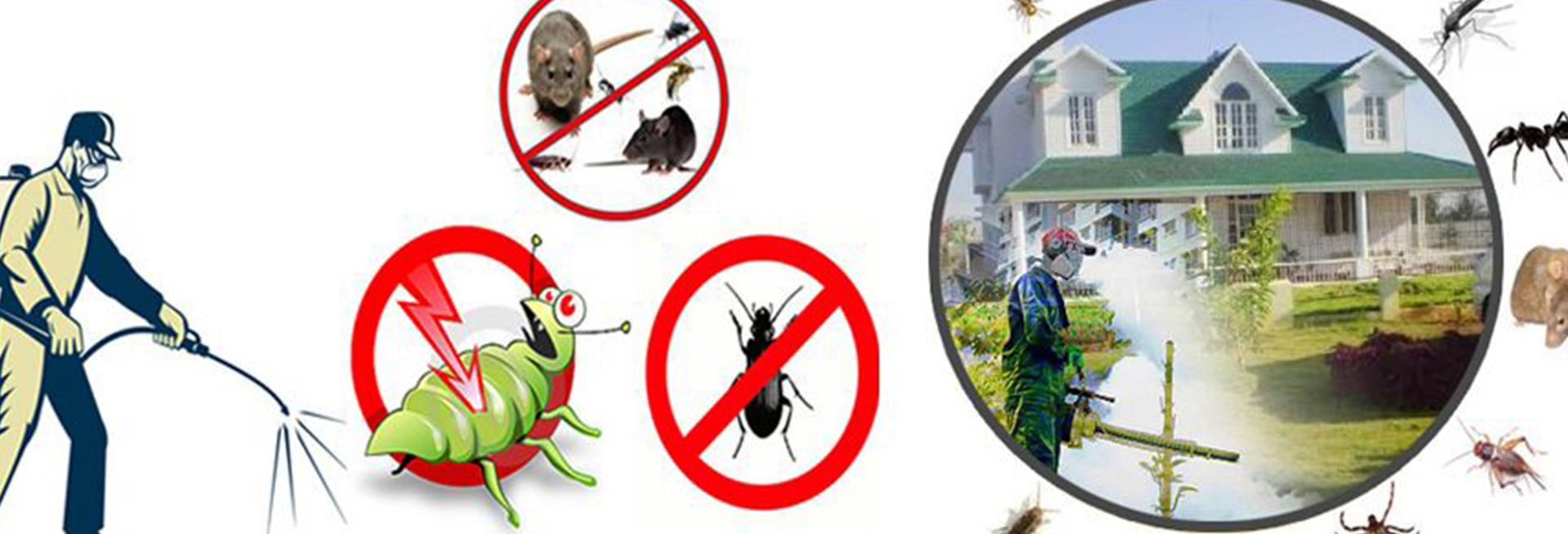 bg_image